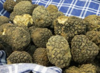 “È tempo di Tartufo a Pergola”: menù e aperitivi per week-end tutti da gustare