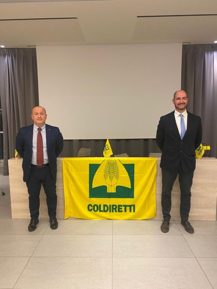 calevi - di sante