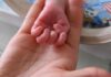 Il Comune di Colli al Metauro aderisce alla Giornata Mondiale della Prematurità