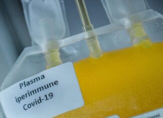 Emergenza sanitaria, appello del vice presidente provinciale Avis Ragnetti: “Urge plasma iperimmune”