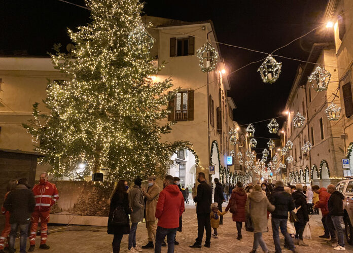 ALBERO 2