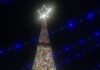 A Mondolfo 73mila metri di filo di lana per un albero di Natale suggestivo e speranzoso. Donne protagoniste