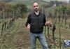 Coldiretti Pesaro Urbino, il Bianchello del Metauro a Gusto (Tg5). Di Sante: “Con il vino raccontiamo anche il territorio”