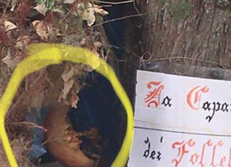 Fossombrone: vandali nella capanna dei folletti sulle Cesane