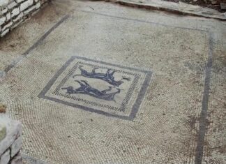 Parco Archeologico di “Forum Sempronii”,ultimati i lavori di riqualificazione. Restaurati anche due mosaici della “Casa di Asclepio”