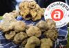 Acqualagna: boom mediatico per il tartufo nonostante la pandemia. Un brand consolidato che non tradisce