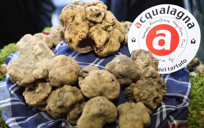 Tartufo 1
