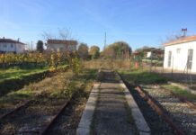 “Università e città di Urbino: senza ferrovia, 30 milioni di investimenti rischiano di diventare una cattedrale nel deserto”