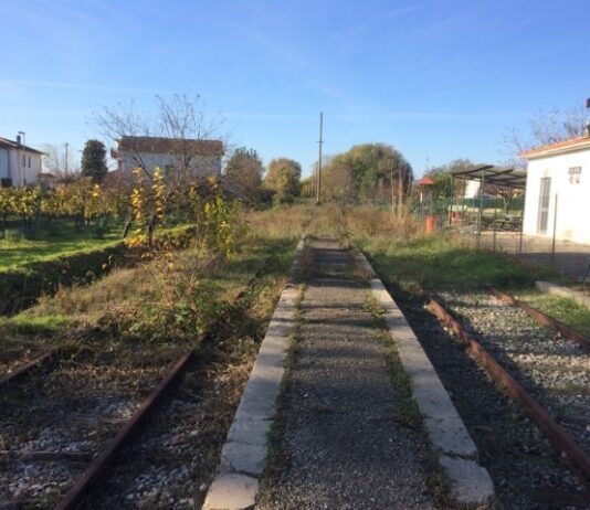 “Università e città di Urbino: senza ferrovia, 30 milioni di investimenti rischiano di diventare una cattedrale nel deserto”