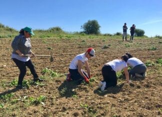 Coldiretti Marche, giovani in campo contro la crisi: +18% in agricoltura negli ultimi 10 anni