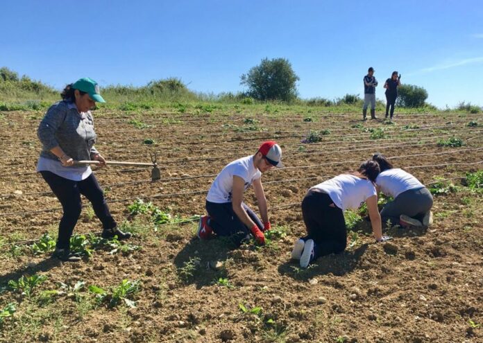 AgricolturaSociale_02-1320x939