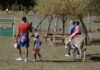 Alla scoperta dei 10 Centri di educazione ambientale coordinati dalla Provincia: una pagina internet dedicata, un video e un reportage