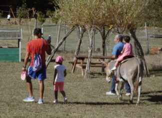 Alla scoperta dei 10 Centri di educazione ambientale coordinati dalla Provincia: una pagina internet dedicata, un video e un reportage
