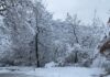 Transitabilità sulle strade provinciali, 38 mezzi impiegati per sgombro neve e trattamenti antighiaccio
