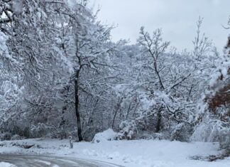Transitabilità sulle strade provinciali, 38 mezzi impiegati per sgombro neve e trattamenti antighiaccio