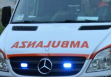 Doppio incidente in autostrada tra Fano e Marotta, carico di polli invade la carreggiata