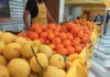 Coldiretti Marche, tre marchigiani su quattro mangiano frutta tutti i giorni: Campagna Amica festeggia le arance