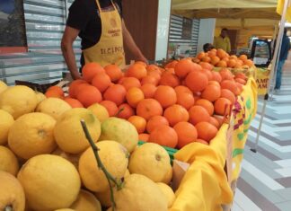 Coldiretti Marche, tre marchigiani su quattro mangiano frutta tutti i giorni: Campagna Amica festeggia le arance