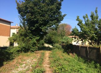 Tinti (consigliere comunale PD Fano): “Ex ferrovia Fano-Urbino: il centrodestra lascia il territorio nel degrado e tradisce i cittadini”