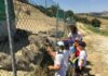 Sant’Antonio Abate, protettore degli animali, Coldiretti Marche: “Sos Fattoria Marche”