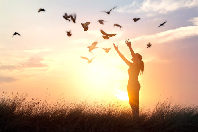 Woman praying and free bird enjoying nature on sunset background