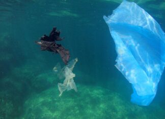 Ruggeri di M5S: “Stop plastica in mare, una legge dimenticata”