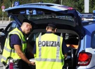 Cuccioli nascosti nel camion. Nei guai il conducente