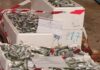 Maxi sequestro di pesce in porto a Fano