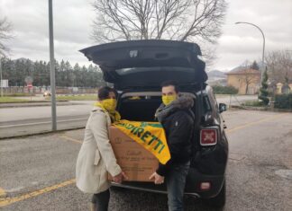 Coldiretti Marche, la solidarietà non si ferma: oltre 22mila chili di cibo già consegnati alle famiglie bisognose