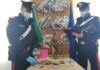 Fossombrone, i carabinieri arrestano marocchino con oltre mezzo chilo di droga