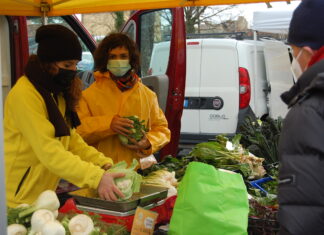 Coldiretti Marche, primi segnali di ripresa per l’export agroalimentare