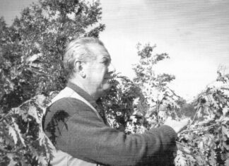 Piobbico piange Piero Mochi, grande figura di riferimento dell’entroterra. Domani i funerali