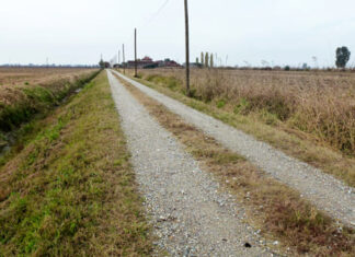 Regione stanzia 9,9 milioni per le strade interpoderali. Interventi a Cagli, Cantiano, Apecchio, Frontone, Serra Sant’Abbondio e Fratte Rosa