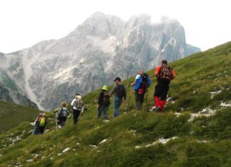 Professioni della montagna, la giunta disciplina i corsi per maestri di sci, aspiranti guide alpine e accompagnatori di media montagna