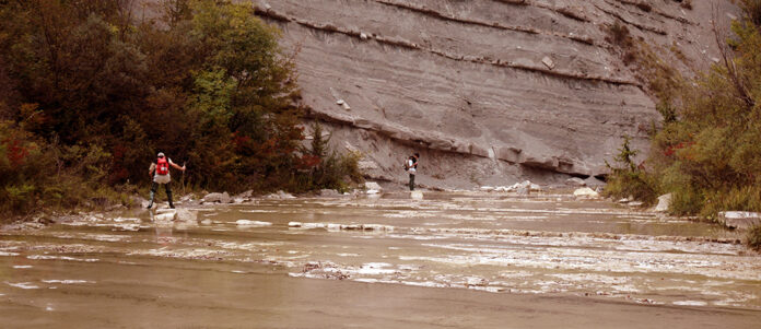 DSC_0319.jpg CROP.jpg 1000