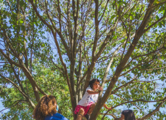 Centri estivi Jump (provincia di Pesaro e Urbino). Ecco l’offerta: “Per far riscoprire ai bambini la bellezza di vivere all’aria aperta”