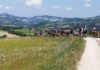 Bike Gal Flaminia Cesano: 4 percorsi cicloturistici con 4 itinerari specifici tra la via Flaminia e il fiume Cesano