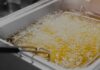 Fano, raccolta olio vegetale: dal 3 maggio una tanichetta in regalo per i più virtuosi