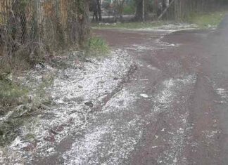 Pesaro Urbino: piano provinciale di protezione civile, aggiornamento per assistenza in caso di emergenza neve