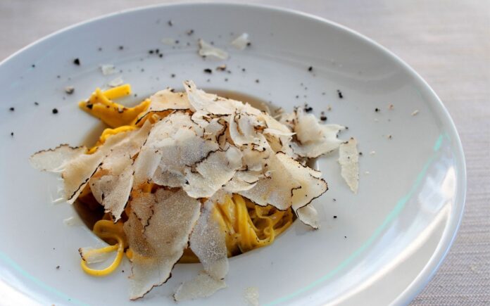 tajarin_tartufo
