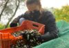 Coldiretti Pesaro Urbino, giovani agricoltori in cattedra: le loro esperienze da esempio per gli studenti