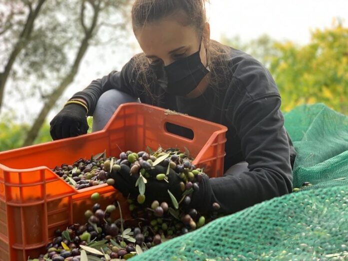 arianna al lavoro