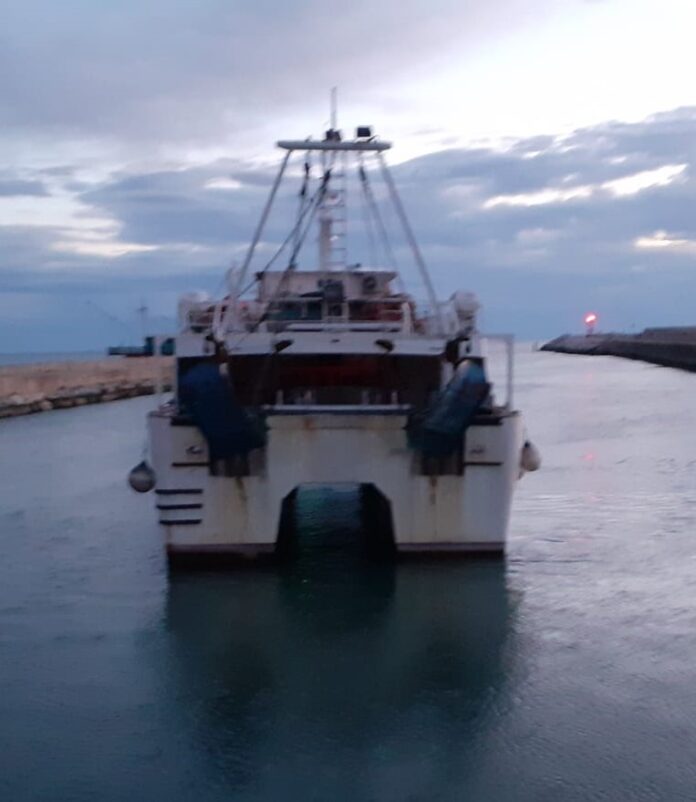 foto catamaranoo