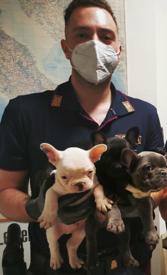 foto polizia cucciolii