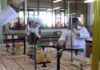 Urbino centro della gara nazionale di chimica. L’Itis “Mattei” il polo organizzatore