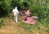Amianto abbandonato in zona Banchi a Cagli, incivili mettono a rischio la salute dei cittadini