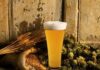 Ecco il bando per la selezione del progetto di promozione e valorizzazione della birra artigianale ed agricola