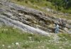 Sulla cava del Pallareto per ricordare il prof. Venturi. Passeggiata paleontologica partendo da Chiaserna