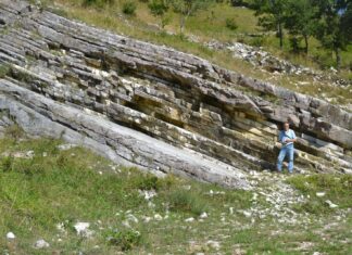 Sulla cava del Pallareto per ricordare il prof. Venturi. Passeggiata paleontologica partendo da Chiaserna