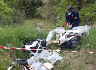 Abbandono di rifiuti speciali pericolosi a Sassoferrato, denunciato imprenditore di Mondolfo